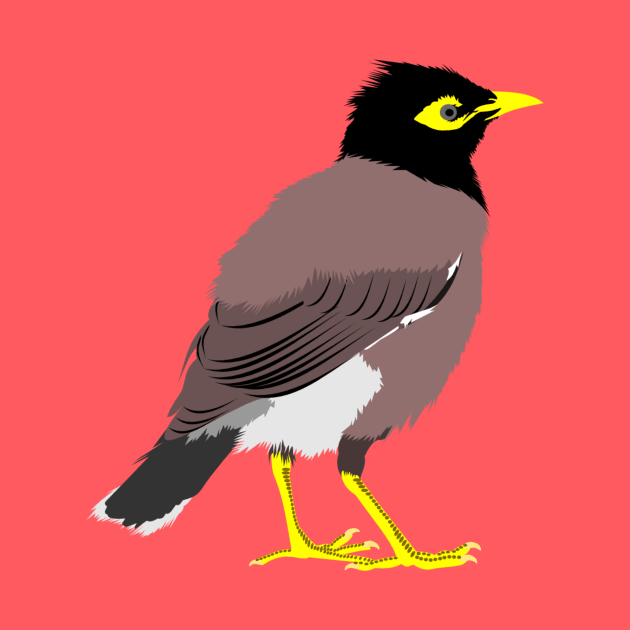 Common Myna by stargatedalek