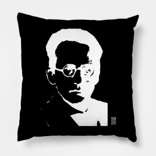 Erwin Schrodinger Alternate (light design) Pillow