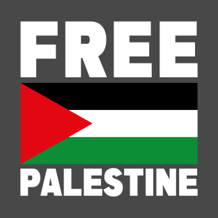 Free Palestine , Palestinian Flag, Solidarity For Palestine T-Shirt