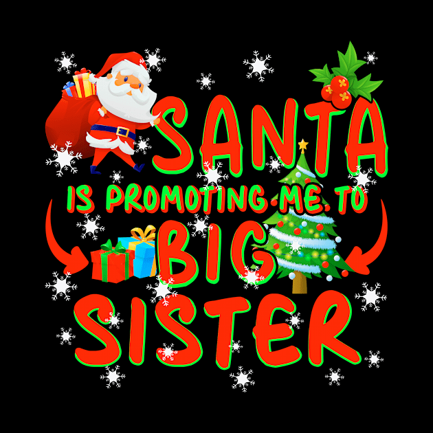 Promoted To Big Sister Christmas by Nifty T Shirts