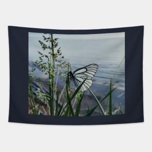 Butterfly of hope Tapestry