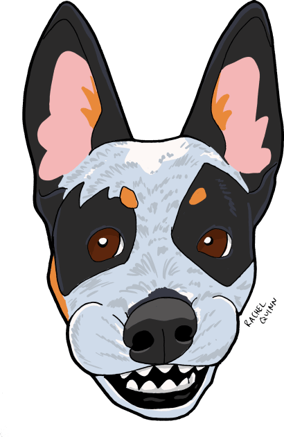 Cattle Dog Kids T-Shirt by ApolloOfTheStars