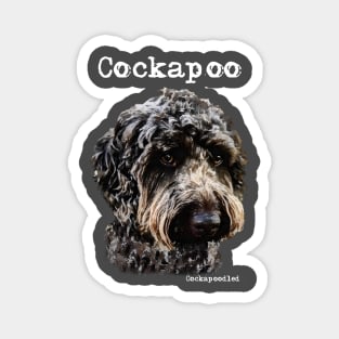 Black Cockapoo / Spoodle and Doodle Dog Magnet