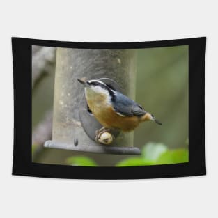 Nuthatch throwing seed Tapestry