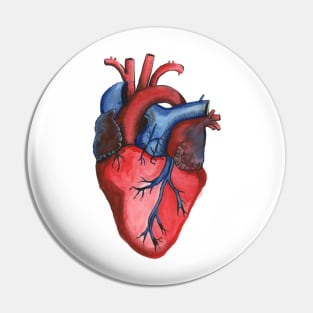 Anatomical Hand Painted Watercolor Heart Pin