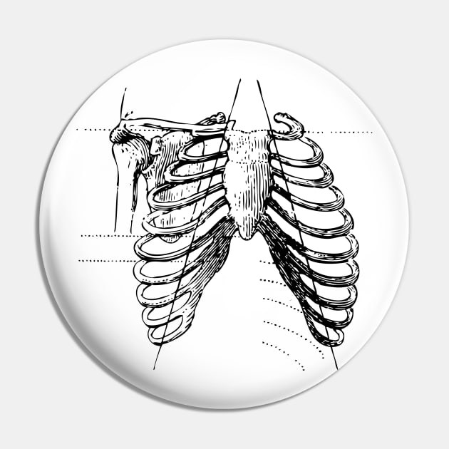 Ribcage bones Pin by chris@christinearnold.com