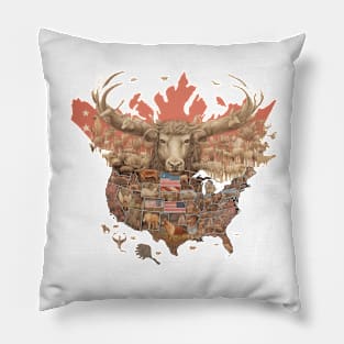 Canada Eh? Pillow