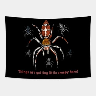 Things are getting little creepy here _Halloween Spider_Cobweb Creepy patterned animal Tapestry