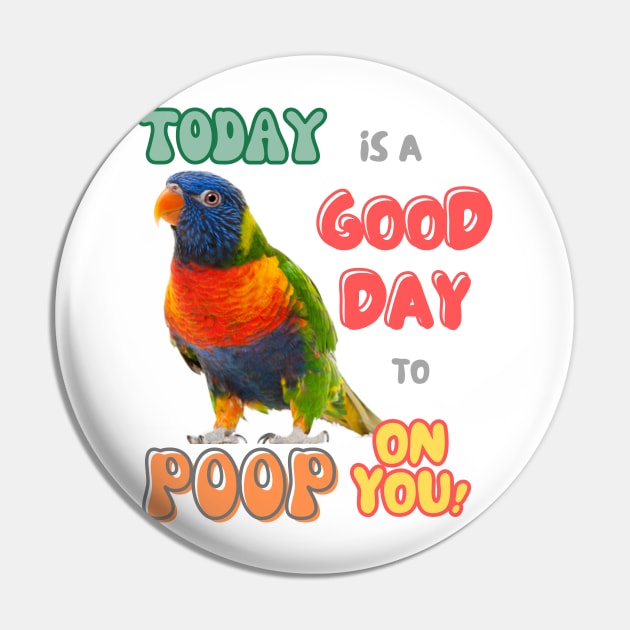 Rainbow lorikeet, Loriini bird, Parrot, Parakeet, Today is a good day to poop on you Pin by TatianaLG