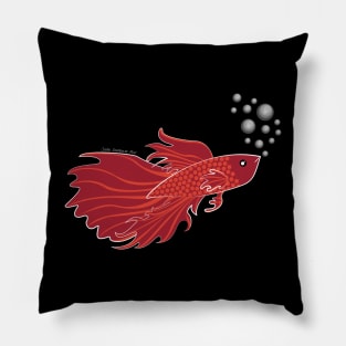 Red Beta Fish Making a Bubble Nest Pillow