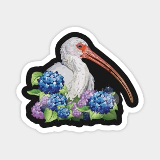 ibis Magnet