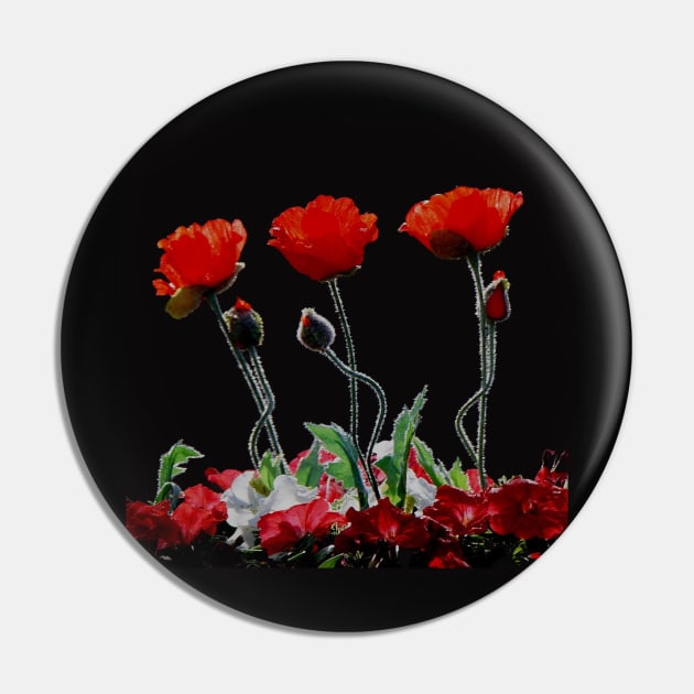 Remembrance poppies Pin by Kielly