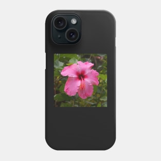 Pink Hibiscus Phone Case