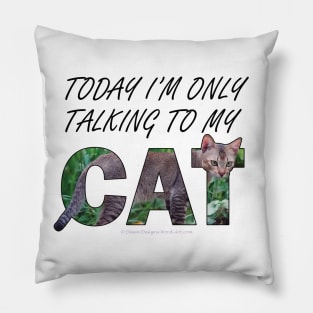 Today I'm only talking to my cat - brown sand cat oil painting word art Pillow