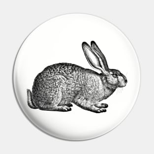 Rabbit - Hare - Bunny - nature - drawing, animal Pin