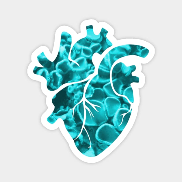 Frozen Heart Magnet by shiro