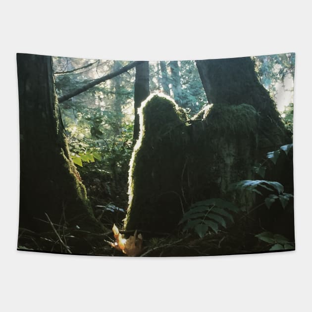 Green Man of Gabriola Spying on me… Tapestry by drumweaver