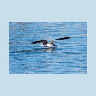 Black Skimmer T-Shirt