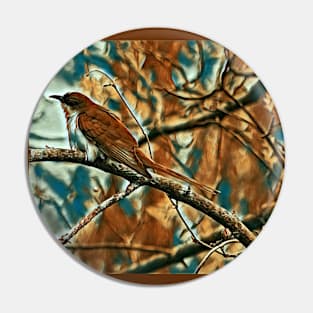 Black Billed Cuckoo Pin