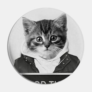 Mugshot of Criminal Kitten - Food Thief Pin