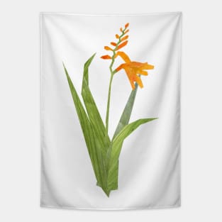 Crocosmia Tapestry