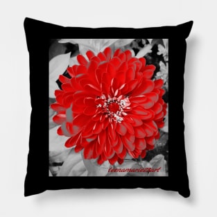 Floral Motif Pillow