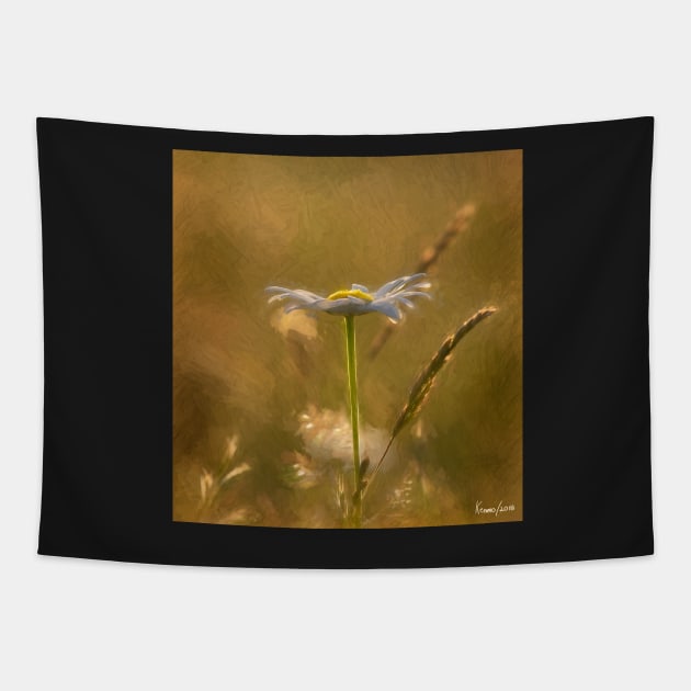 Wild Daisy in the Late Day Sunlight Tapestry by kenmo