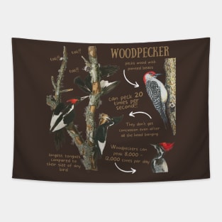 Animal Facts - Woodpecker Tapestry