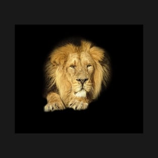 Lion portrait T-Shirt