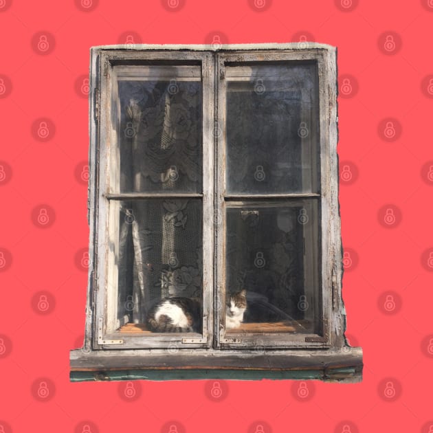 Window Cat by TenomonMalke