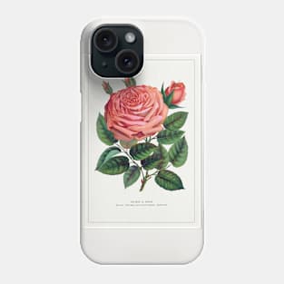 Pink Rose, Glorie de Dijon Lithograph (1900) Phone Case