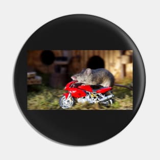 Biker Mouse - make it stop is to fast. Pin