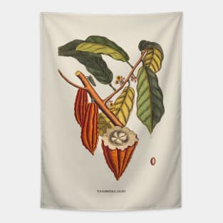 Cacao Tree Antique Botanical Illustration Tapestry