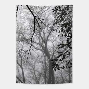 Foggy forest Tapestry