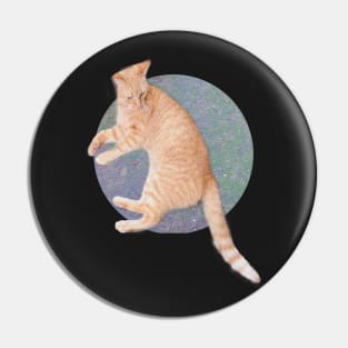 Cat Lounging Pin