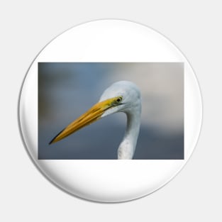 Large egret in wildlife preserve Pin