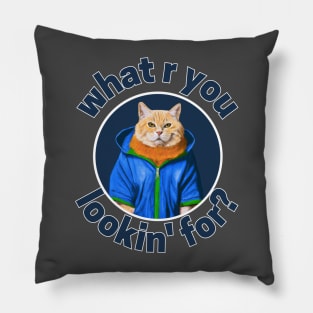 cat wearing blue jacket with what are you looking for sentences Pillow