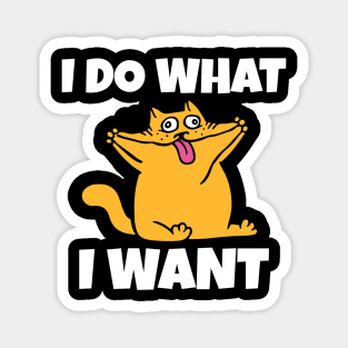 I do what I want funny cat Magnet