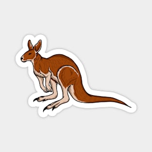 Kangaroo Magnet