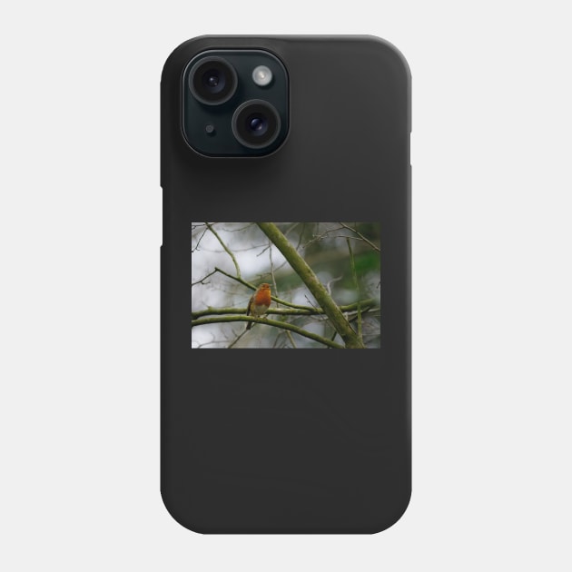 Little friend Phone Case by Z Snapper