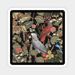 Jungle Birds Pattern Magnet