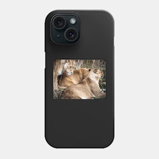 Lioness Phone Case