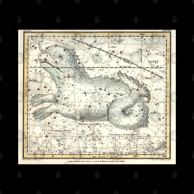 Cetus Constellation- Alexander Jamieson Art Print by forgottenbeauty