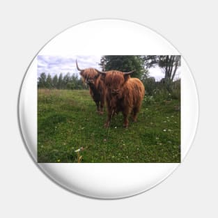 Scottish Highland Cattle Cow and Calf 2045 Pin