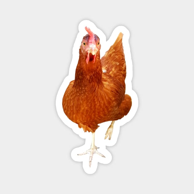 Funny free hen ! Happy chicken :-) Magnet by GribouilleTherapie