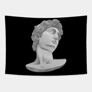 Michelangelo's beautiful head of David Tapestry