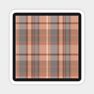 Light Academia Aesthetic Conall 2 Hand Drawn Textured Plaid Pattern Magnet