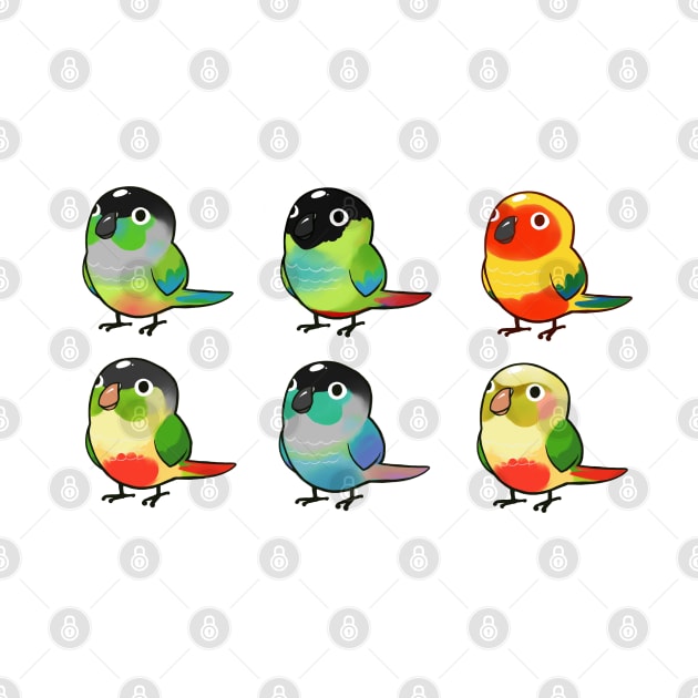 Conure Bunch by Shemii