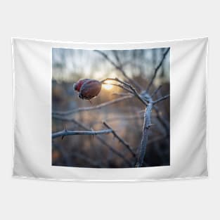 frosty rosehip on a branch Tapestry