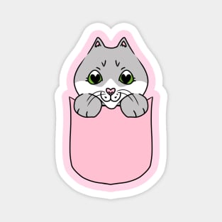 Cute Grey and White Cat in the Pocket Magnet